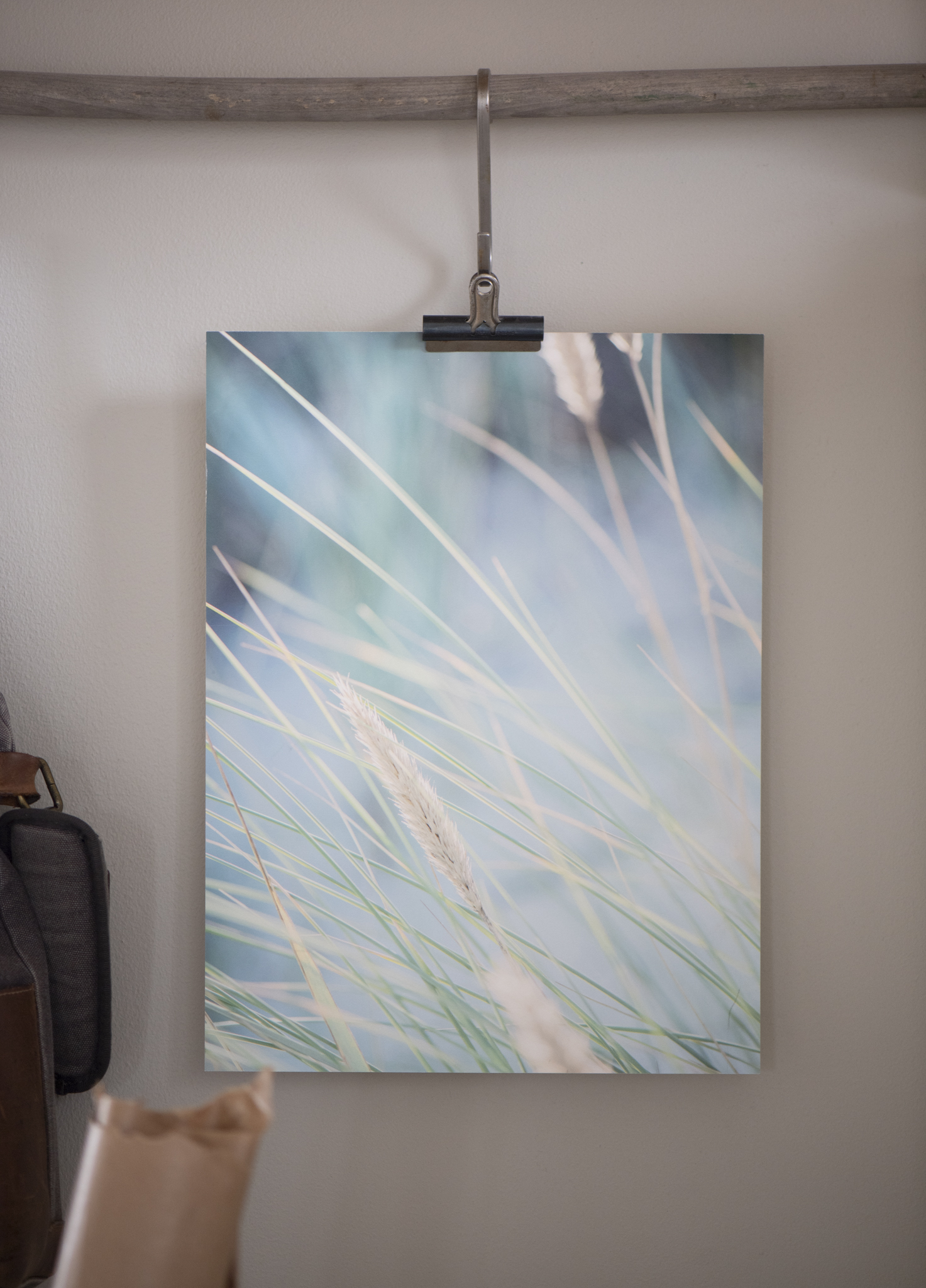 Österlen i mitt hjärta vass